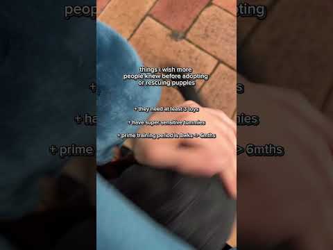 things more people should know before adopting puppies