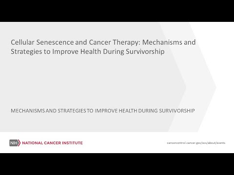 Cellular Senescence & Cancer Therapy-Mechanisms and Strategies to Improve Health During Survivorship