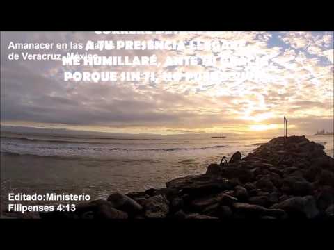 Desesperado estoy por ti, letra