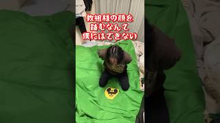 踏み絵で頑なに踏まないやつが出た時の対処法 #shorts