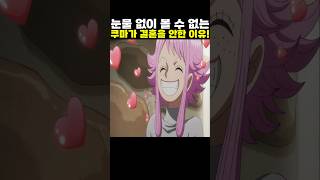 👉눈물 없이 볼 수 없는 쿠마가 결혼을 안한 이유! #onepiece #원피스