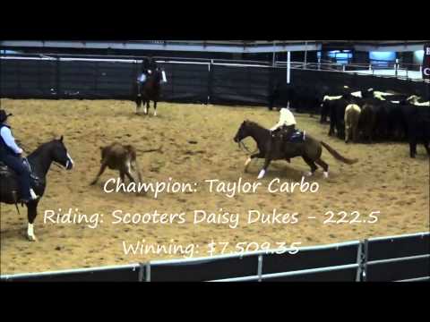 Bonanza Cutting 5/6 Yr. Old Amateur Finals Highlights & Results