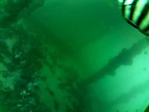 Edithburgh Live by AusOcean 06/03/2023