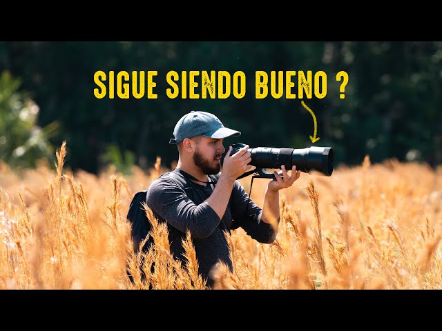 Vídeo relacionado con Think Tank Cubiertas de Lluvia de Emergencia para cámaras réflex Digitales y sin Espejo con Lente de hasta 600 mm f/4 - Grande