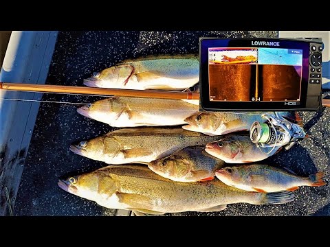 JIGIKALASTUS | ETSITÄÄN VIISTOLUOTAIMELLA KALAA! LOWRANCE HDS 9" LIVE