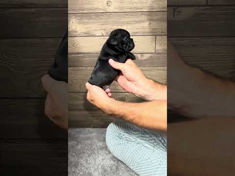 Video 3