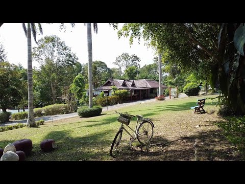 A clinic and community in equal measure - Siam Rehab