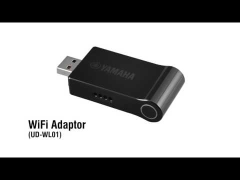 Yamaha UD-WL01 USB Wireless Audio Adapter 2010s - Black image 4
