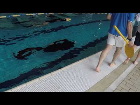 156 DynP - Sestri Levante 23/04/2017