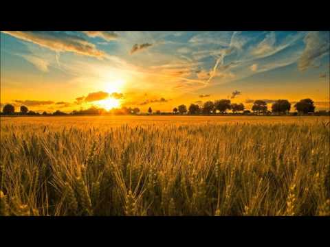 Querox & Lumbago - Last Day Of Sun (Phaxe Remix)
