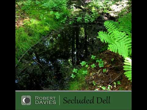 Robert Davies - Secluded Dell (2025) Full Album
