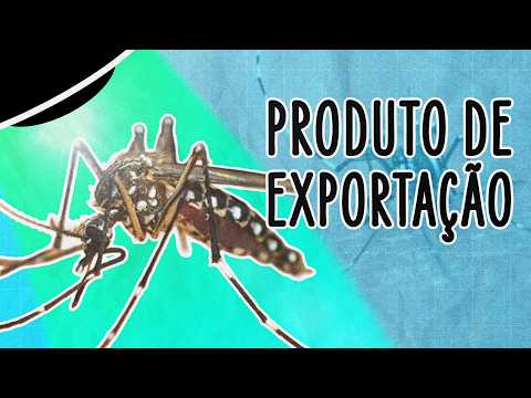 DENGUE ESTÁ SENDO EXPORTADA PARA OS GRINGOS | ABDUÇÃO