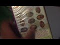 Barney S Rhyme Time Rhythm VHS Review