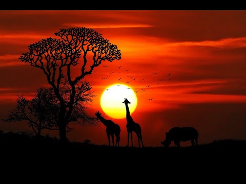 African Nights - Barclay James Harvest
