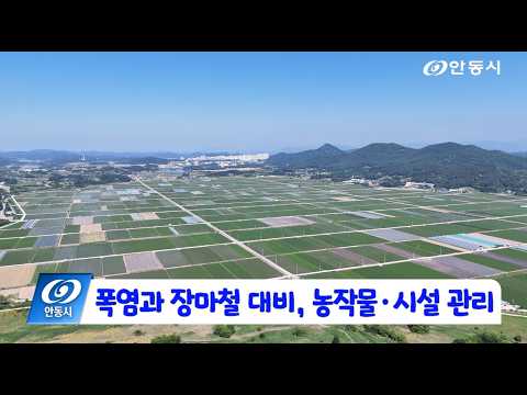 [안동 현장 리포트] 6월 17일, 폭염과 장마철 대비 농작물 시설 관리