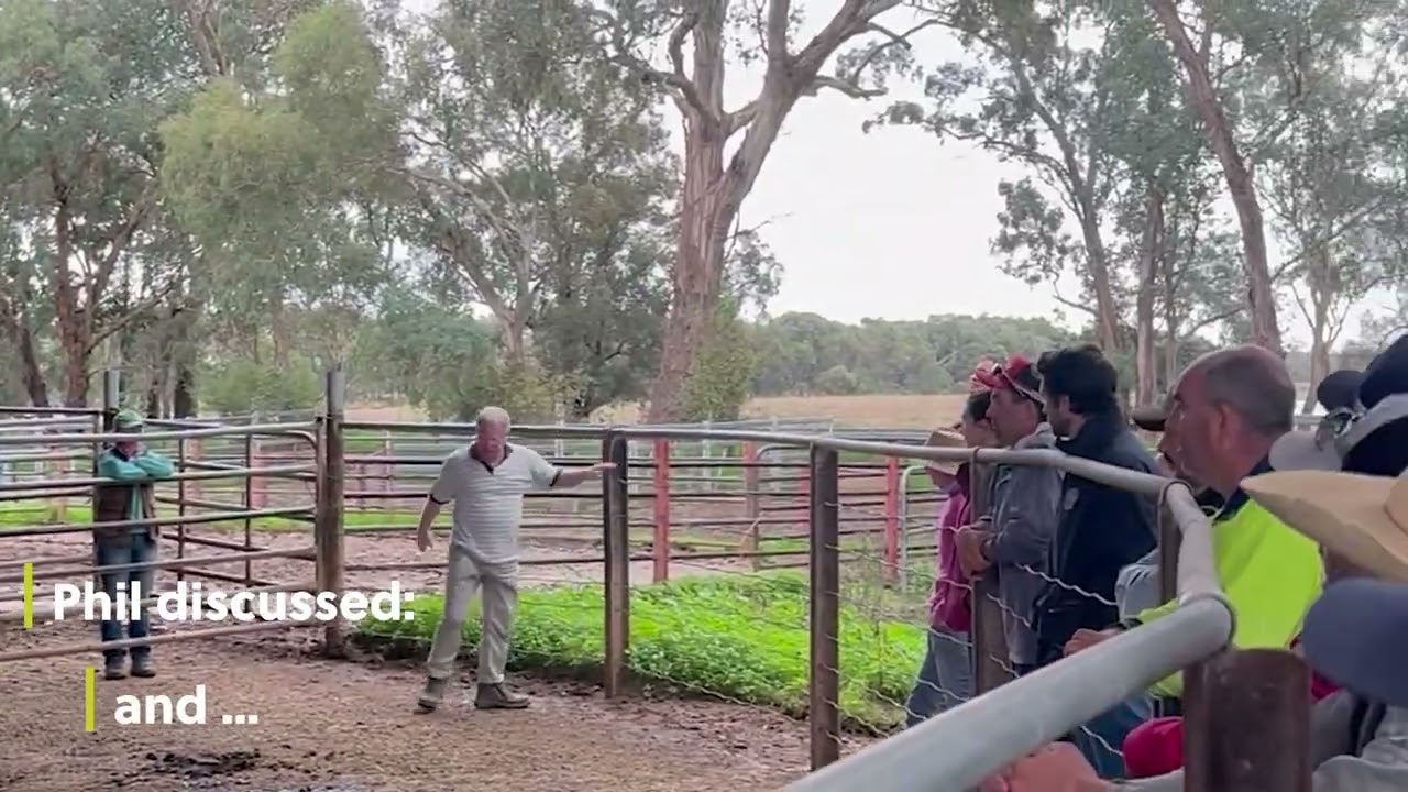 Prograze Workshop #5