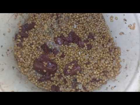 CUCELER UCUN GUCLU YEM !!!