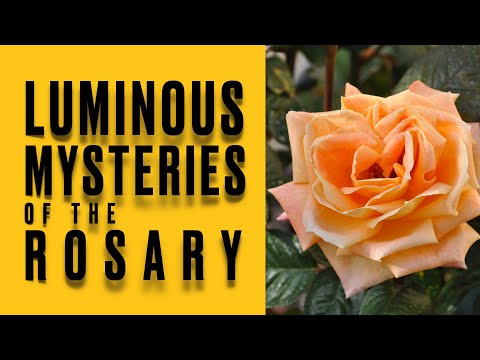 Rosary- THURSDAYS- The LUMINOUS Mysteries of the Holy Rosary