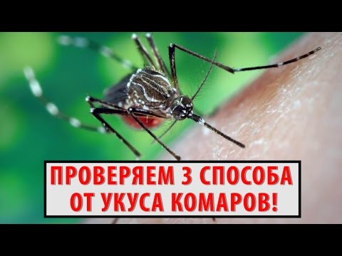 Как избавиться от зуда после укуса комара? Проверяем 3 СРЕДСТВА после укуса комаров!