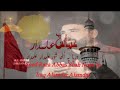 Alamdar Alamdar Syed Raza Abbas Shah