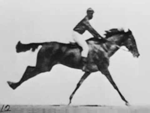 Horse in motion Eadweard Muybridge