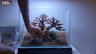#340 Membuat Aquascape tema bonsai,simpel & mudah dirawat