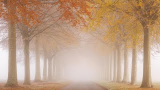 The Liquid Light of Grace.