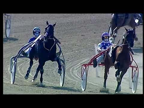 Napoli Trotto 12/06/2021 - 6ª corsa