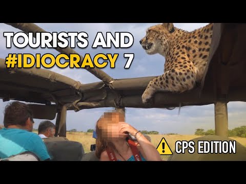 Tourists and #IDIOCRACY 7: CPS Edition