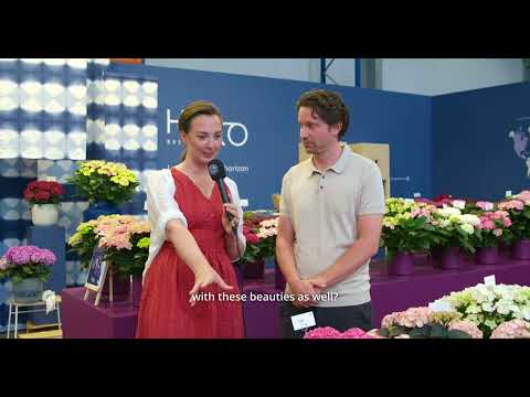 HOKO Breeding during FlowerTrials 2025