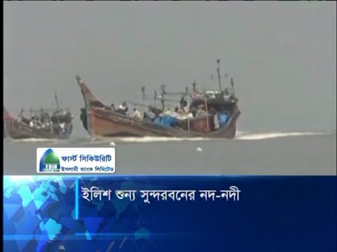 ইলিশ শূণ্য সুন্দরবনের নদ-নদী