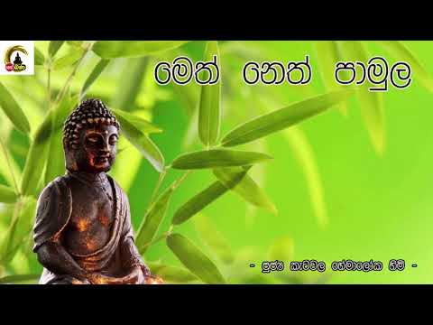 Katawala Hemaloka Thero -8.00 am  මෙත් නෙත් පාමුල  2020.12.13