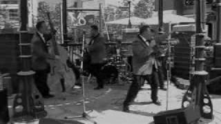 The Jive Romeros,Rockin on a Rollercoaster,Birmingham jazz festival 2009