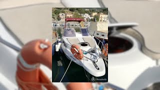 NATANTE SCARANI CRUISER 29 DEL 2008 – 8,9 METRI – VISIBILE A PISCIOTTA (SA)