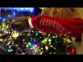 Laura By The Christmas Tree