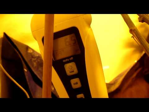 image-Does lime raise pH?