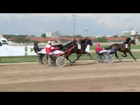 2017.05.13. 4. futam - DIADAL DÍJ