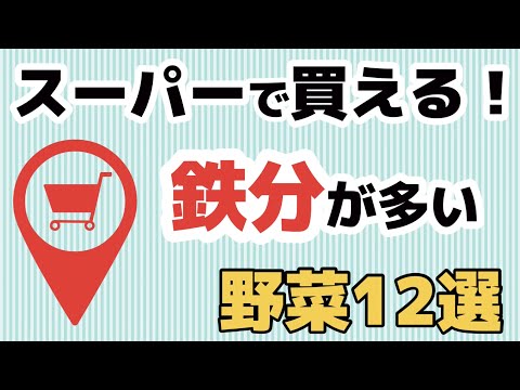 犬用の鉄分が豊富な食べ物