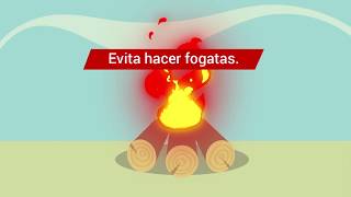 Incendios Forestales