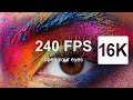 16K VIDEOS World 16K Videos With SUPER ULTRA HD 240FPS Sony Demo