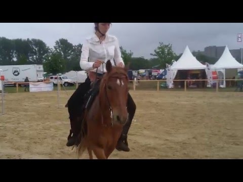 Leider verritten: Larissas allererste Ranch Riding mit  Lucky