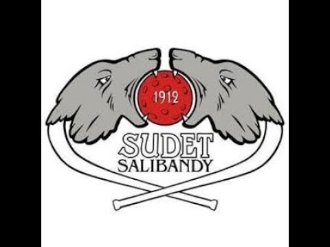 SUDET C03 PUN-PELICANS SB AKATEMIA  21.10.2017