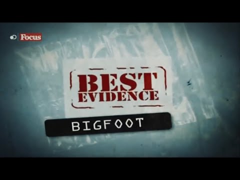 Bigfoot - iL Mostro Della Foresta [FOCUS] DOCUMENTARIO (ITA)
