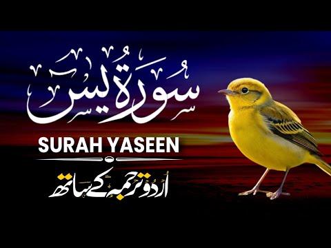 Surah Yaseen Urdu Tarjuma ke Sath | Peaceful Recitation | Episode - 587