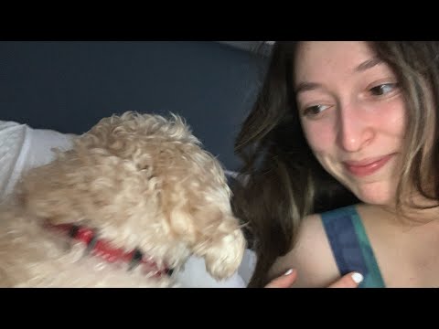 Vlog #22 - A week in paradise