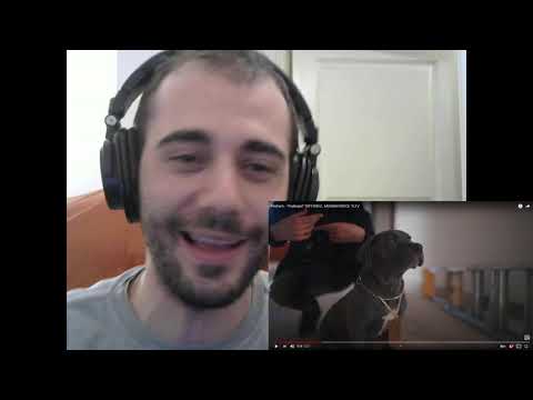 Norsk utlending reagerer på "Pedram - "Psykopat" [OFFISIELL MUSIKKVIDEO]: YLTV"