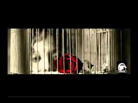 Aceituna sin hueso - Amor y sal