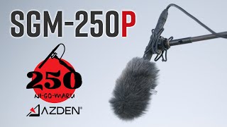 Microfono A Fucile Azden SGM-250P, Supercardioide, XLR, Nero, Alimentazione Phantom O Batteria