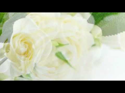 FFPM 700 - AO NY ANDRO LEHIBE