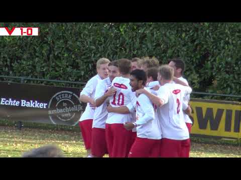 S.V. de Valleivogels - V.V. de Merino's